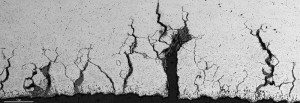 Stress Corrosion Cracking Montage