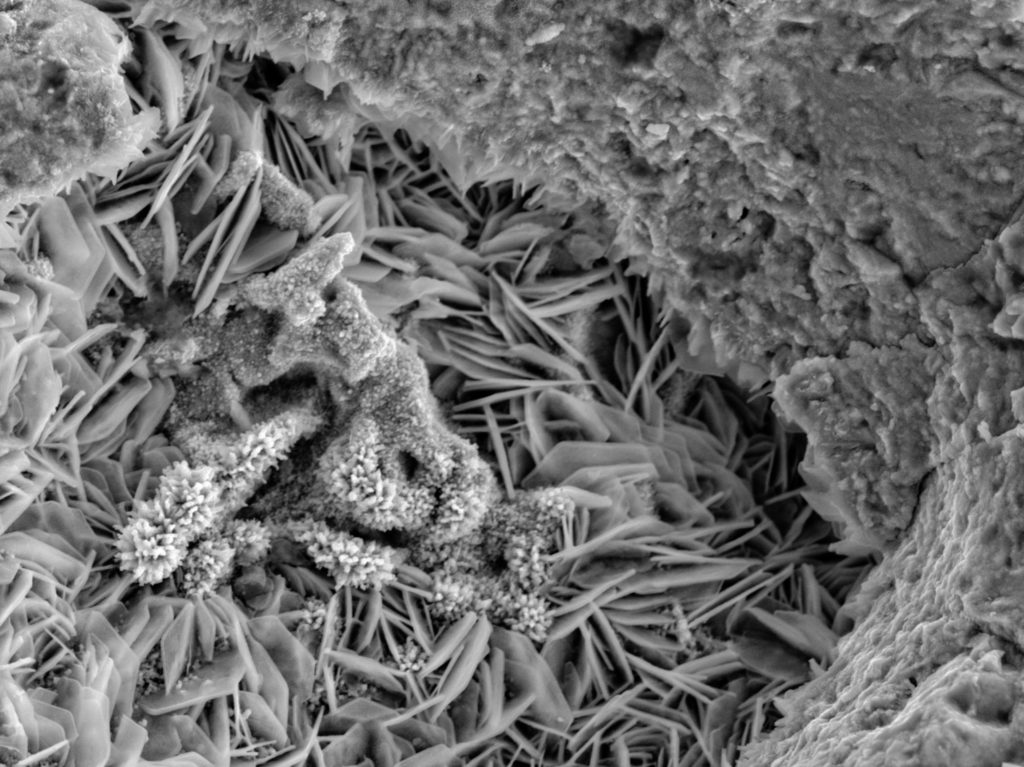 Corrosion Bloom at X1700 - G2MT Labs
